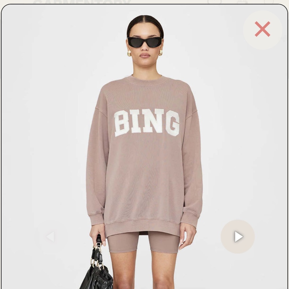 Anine Bing Tyler Sweatshirt in Satin